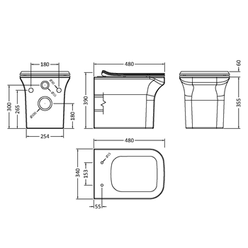 Emily Rimless Compact Wall Hung Toilet & Slimline Soft Close Seat